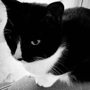 Meet your Posher, Ixchel